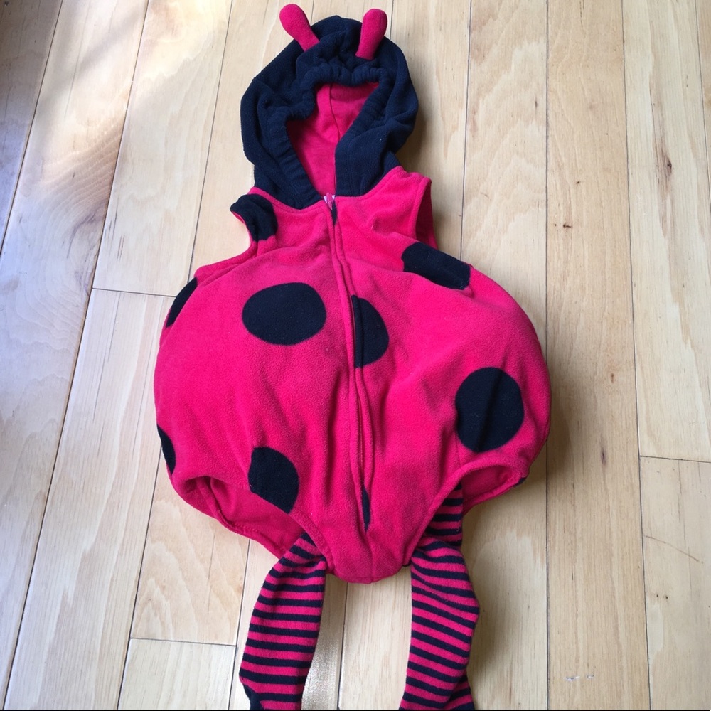 Fleece Ladybug Costume
